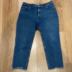 Everlane Curvy Cheeky Jean sz 33R